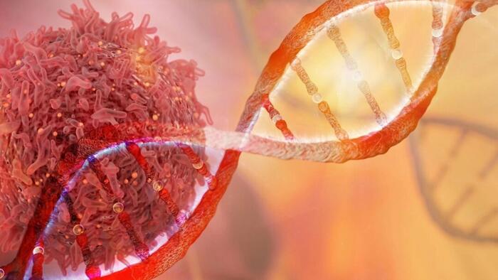 NextImg:Researchers Discover New Mechanism Linking Diet And Cancer Risk