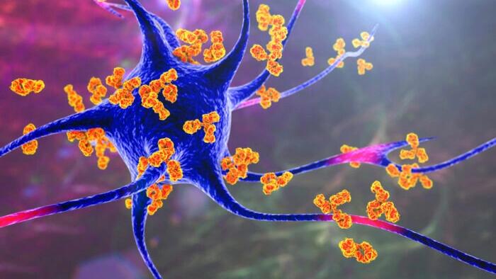 NextImg:HPV Vaccination May Trigger Rare And Often Misdiagnosed Autoimmune Brain Disease