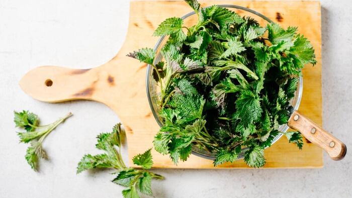 NextImg:Obnoxious Weeds Team Up To Fight Cancer–New Review
