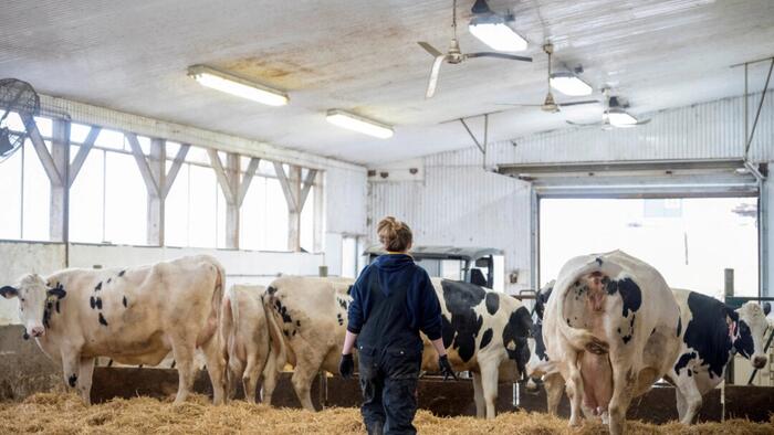 NextImg:US 'Looking Closely' At Vaccinating Workers Exposed To Bird Flu: Official