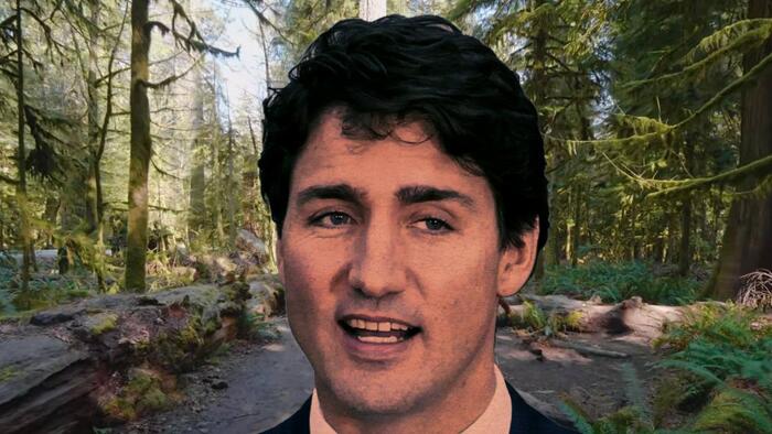 NextImg: Trudeau Government Offers Free Access To National Parks For Migrants Only