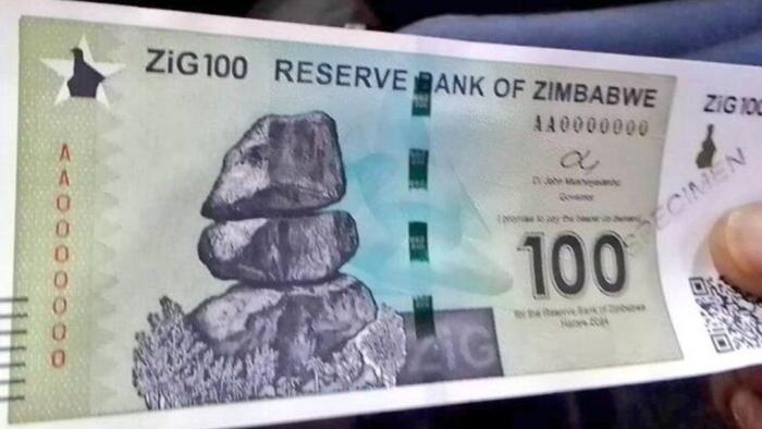 NextImg:ZiG Zagged: Zimbabwe Central Bank Ironing Out Wrinkles In New Currency