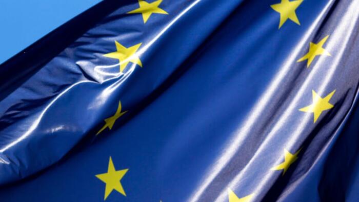 NextImg:Recipe For EU Disaster: Warning Signs Ignored