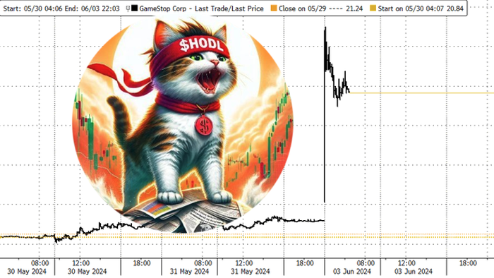 NextImg:GameStop Shares Double After 'Roaring Kitty' Posts $180 Million Bet