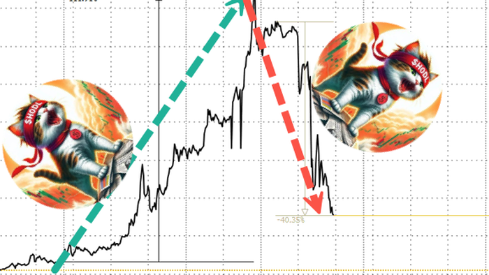NextImg:GameStop Tumbles After Dismal Earnings, Announces Equity Offering Ahead Of 'Roaring Kitty' Event