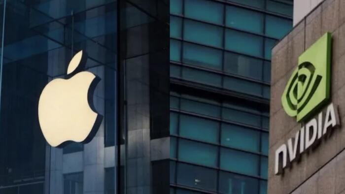 NextImg:Nvidia, Apple And GameStop Are The Entire Stock Market Right Now…And That's Dangerous