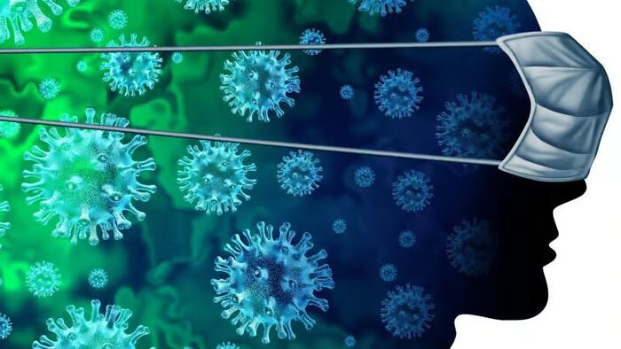 NextImg:Send This Article To People Who Say "Ivermectin Doesn’t Work For Covid-19"