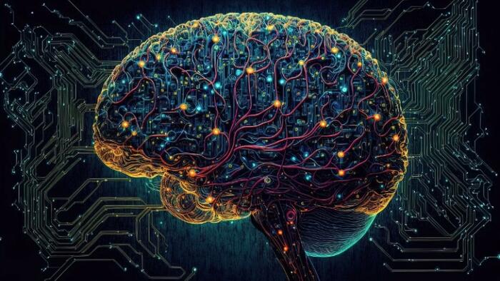 NextImg:They Are Using Lab-Grown Human Brains Called "Organoids" To Run Computers