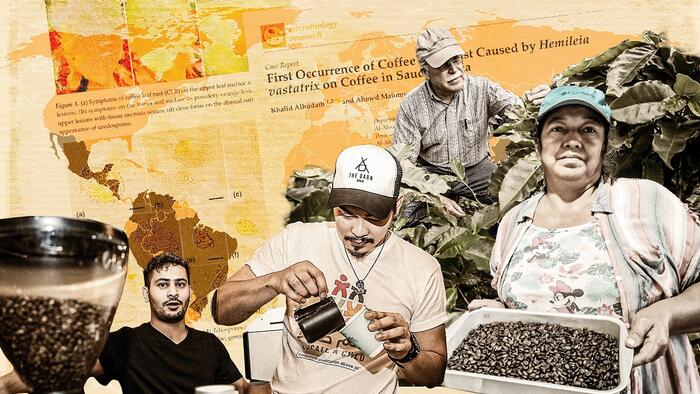 NextImg:With Global Coffee Production Under Threat, Farmers Seek New Solutions
