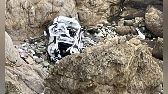NextImg:California Doctor Who Drove Family Off Cliff Avoids Trial Due To Mental Illness