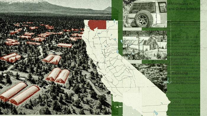 NextImg:How Uninhabited Terrain Became A Hotbed For Black Market Marijuana