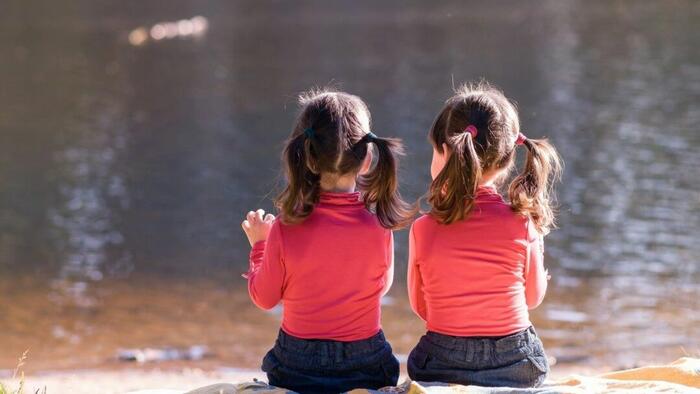 NextImg:Autism Reversal In Twin Girls Through Lifestyle And Environmental Changes: New Study