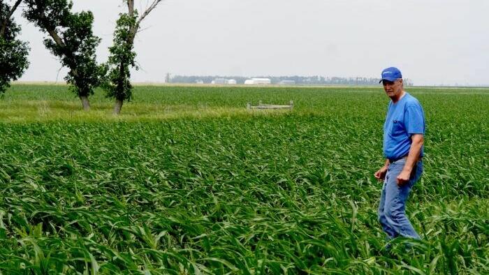 NextImg:Iowa Utility Board Approves Eminent Domain For Controversial CO2 Pipeline