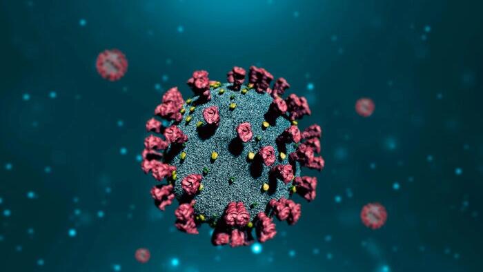 NextImg:COVID Severity Not Affected By Viral Load Upon First Infection: Study