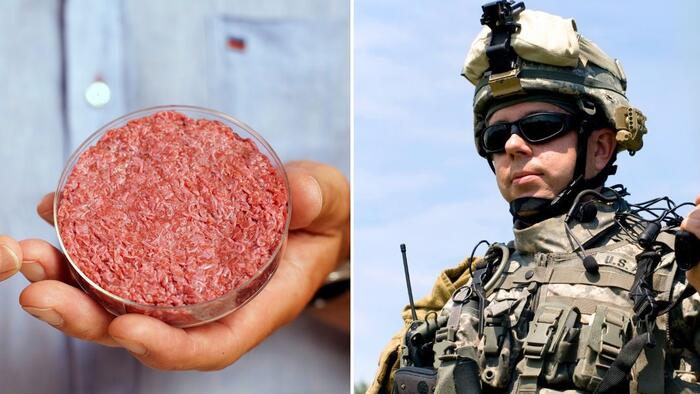 NextImg:"Alt-Protein": Pentagon Contractor Wants To Feed US Troops Lab-Grown Meat To "Reduce CO2 Footprint"