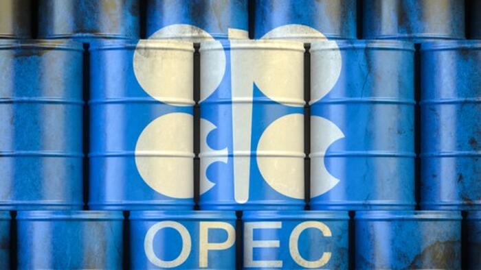 NextImg:Key OPEC+ Ministers Dismiss Bearish Market Reaction To Output Plans