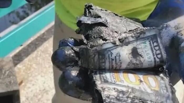 NextImg:Queens Couple Finds $100,000 In Safe At Bottom Of Corona Park Lake While 'Magnet Fishing'