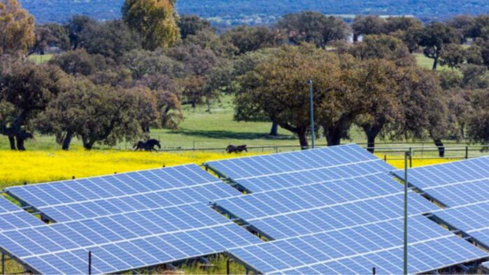 NextImg:Europe's Top Wind And Solar Builder Walks Back Growth Plans