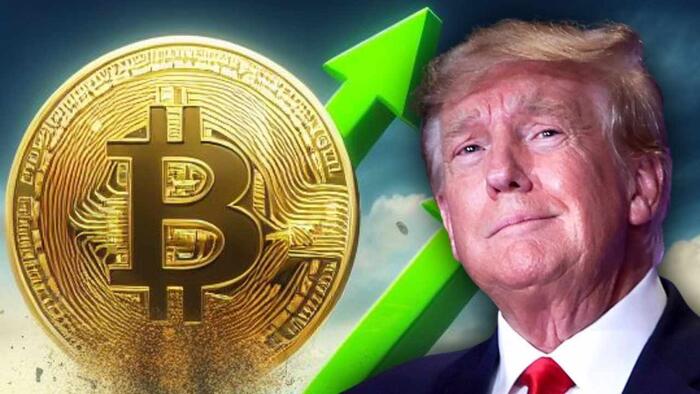 NextImg:Why Trump Is The Best Choice For Bitcoin