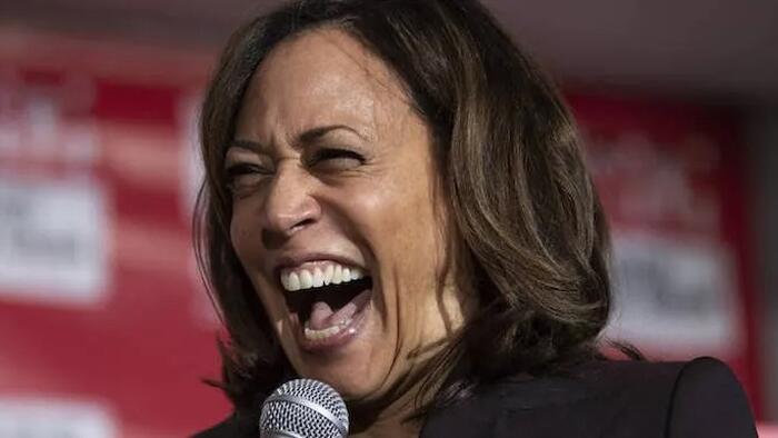 NextImg:Watch Live: Kamala Harris Delivers First Words Since Biden Leaving Race