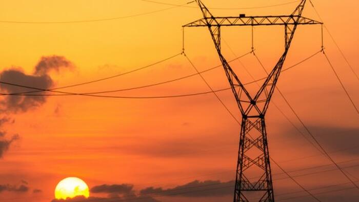 NextImg:OPEC: The World Cannot Run On Renewable Energy And EVs