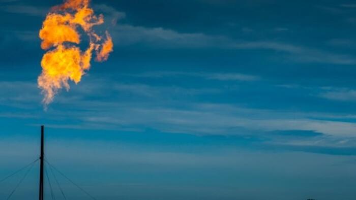 NextImg:US Hits Record High Electricity Generation From Natural Gas
