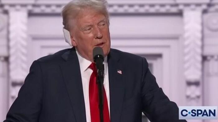 NextImg: NYU Prof: Trump, Like Hitler, Will Use Assassination Attempt For 'Authoritarian' Goals