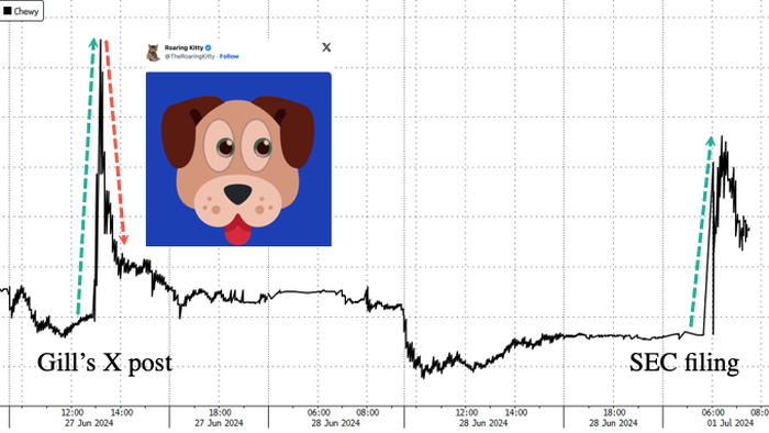NextImg:Chewy Shares Spike Again. Roaring Kitty Reveals $245 Million Position