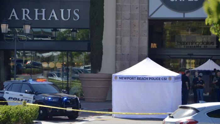 NextImg:Elderly Tourist Hit With Car, Killed After Being Robbed In Affluent Newport Beach