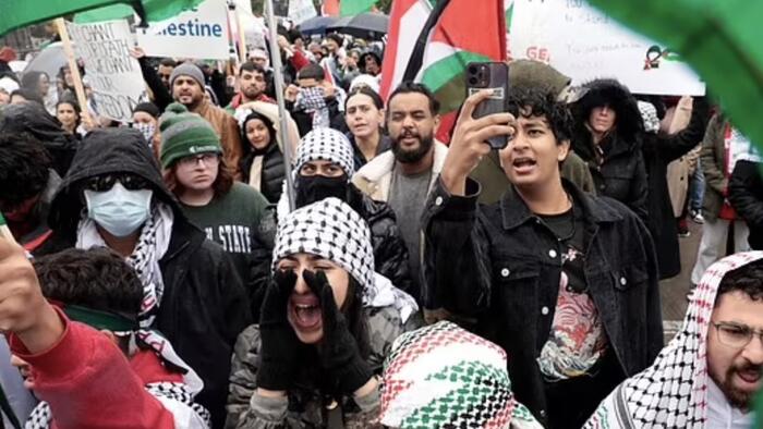 NextImg:Dearborn, Michigan Is "America's Jihad Capital" And Has Descended Into "Civil War"