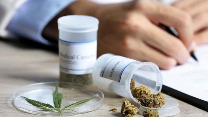 NextImg:Doctors In Australia Say Medical Cannabis Leading To Increase In Psychosis In Patients