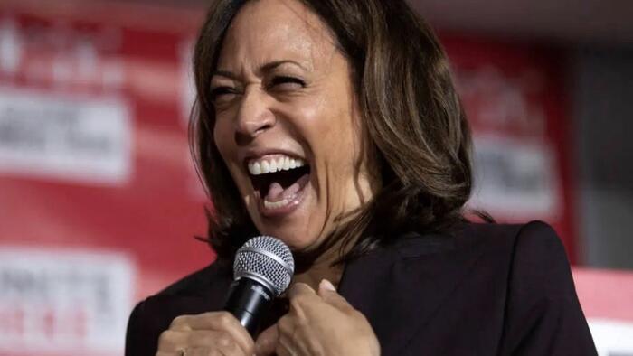 NextImg:Kamala Harris: The Next Worst Thing