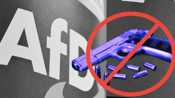 NextImg:Germany AfD Members Banned From Owning Guns In New Court Ruling