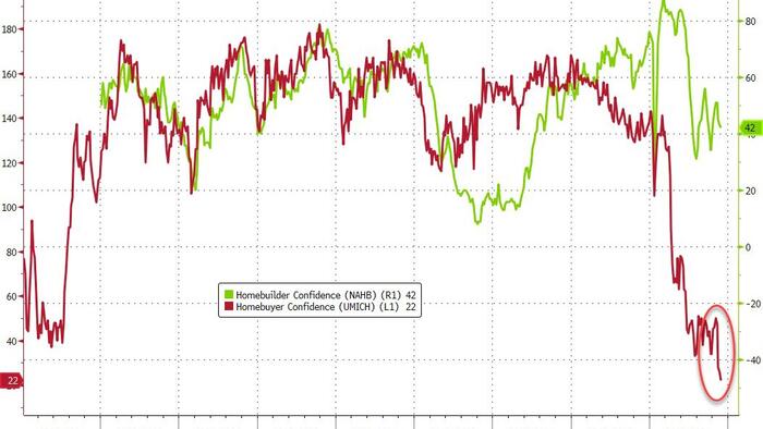 NextImg:US New Home Sales Unexpectedly Tumbled In June As Homebuyer Confidence Crashes To Record Low