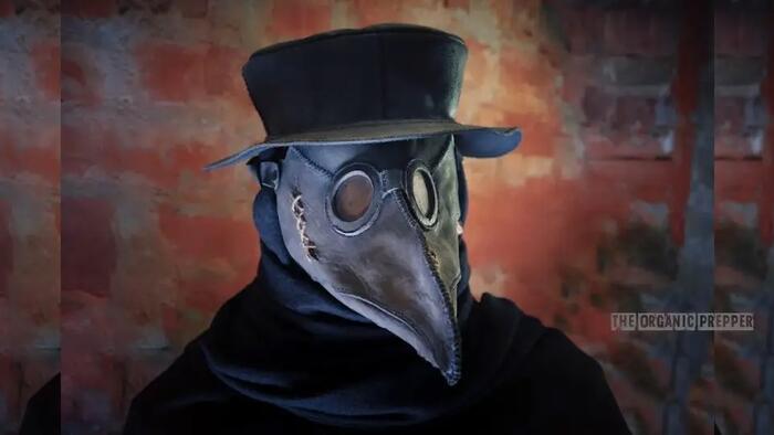 NextImg:Bird Flu: They Fooled Us Once, Looks Like They'll Try To Fool Us Again...