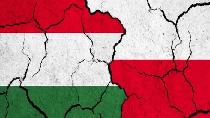 NextImg:The Polish-Hungarian Dispute Is Getting Nastier After Sikorski Lied About Szijjarto