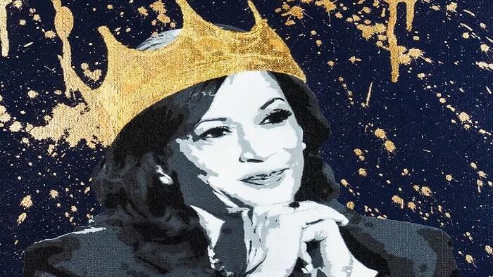 NextImg:Kamala's Coronation As The De Facto Democrat Nominee Dispelled Illusions About Democracy