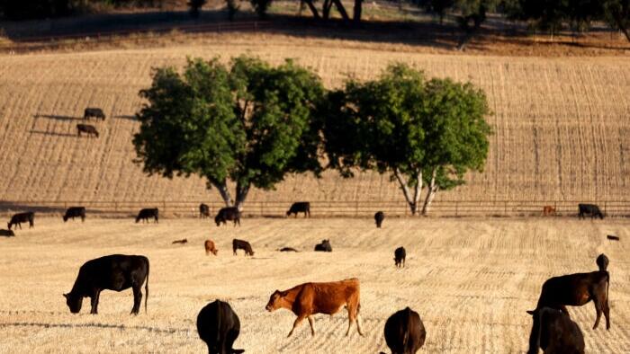 NextImg:Drought Status Returns To California For First Time In 2024