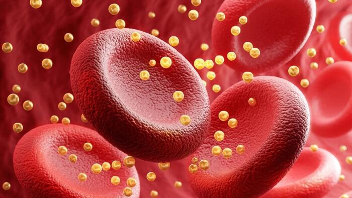 NextImg:Study Challenges 'Bad Cholesterol' Label For LDL
