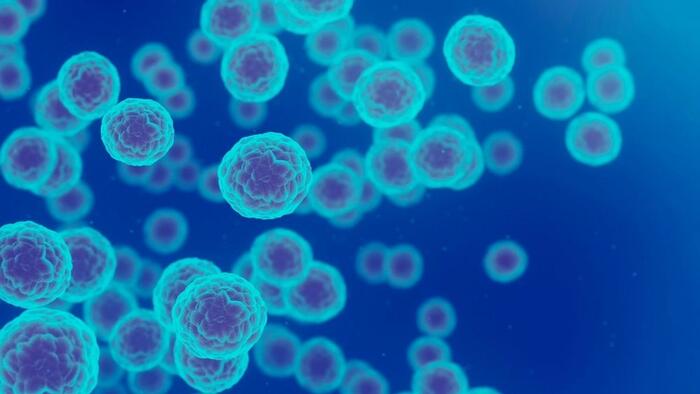 NextImg:Researchers Find Precise Way To Kill Cancer Cells