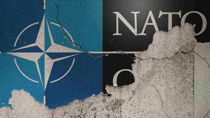 NextImg:Over 60 Foreign Policy Experts Issue Letter Urging NATO Against Advancing Ukraine Membership