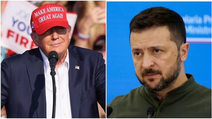 NextImg:Trump Tells Zelensky He'll "Bring Peace" In "Very Good Call"