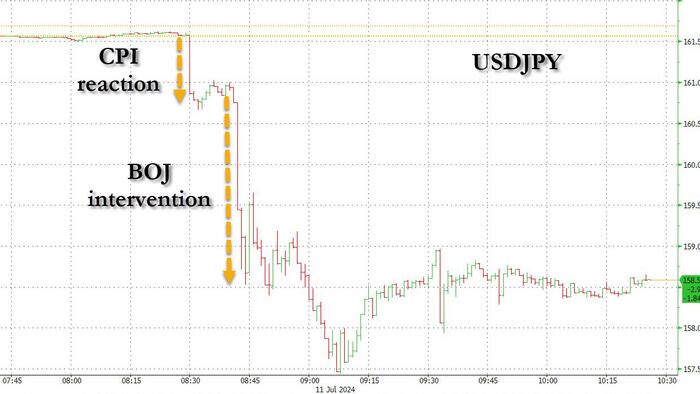 NextImg:Japan Intervenes In FX Market To Crush Yen Shorts After Dovish CPI