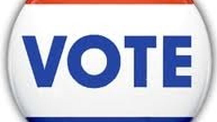 NextImg:"Partisan Mischief": North Carolina Democrats Vote To Block Third-Party Candidates From Ballots