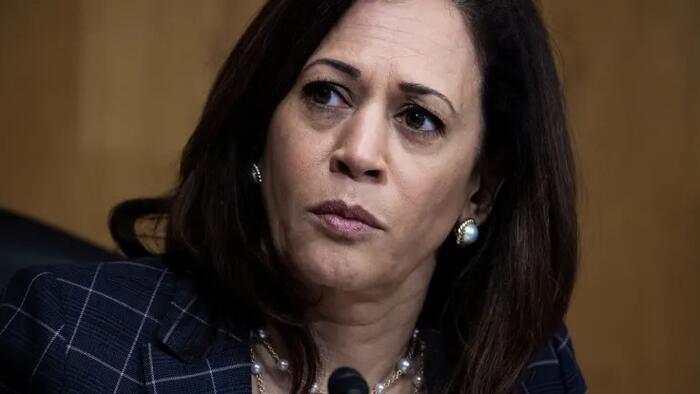 NextImg:Green Party Survives Dems' Ballot Challenge In Battleground State - Kamala Shudders