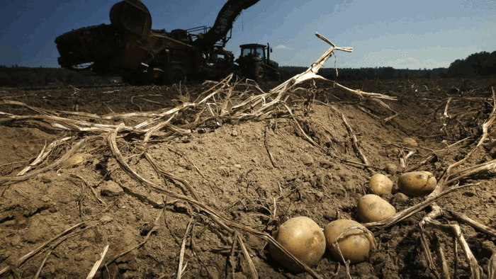 NextImg:Brussels Is Hellbent On Destroying European Farming
