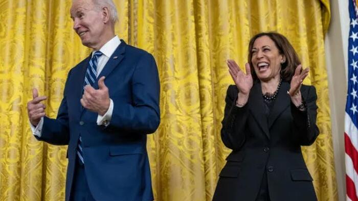 NextImg:The Harris Campaign Will Base Its Platform On Biden's Fake Economic Accomplishments