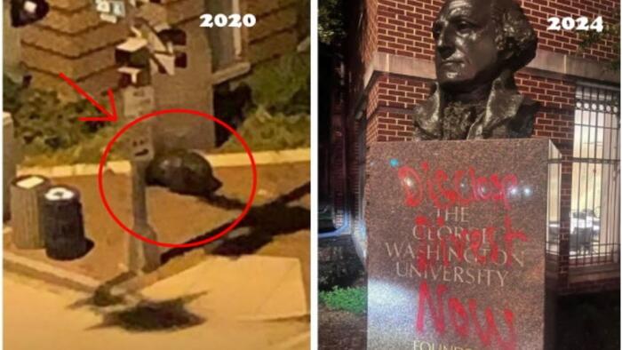 NextImg:Beheaded During BLM Riots, Washington Monument At GWU Vandalized By Pro-Palestinian Protesters
