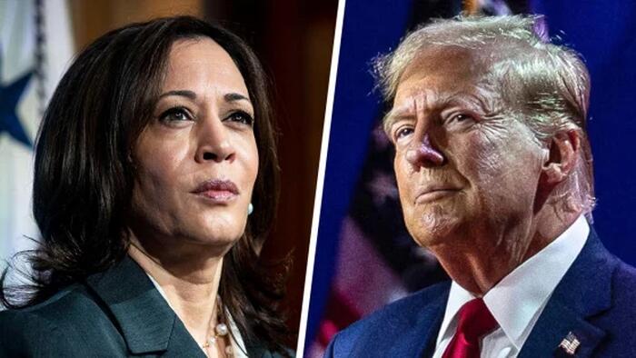 NextImg:Guess Who Kamala Harris Blames For Disastrous Jobs Report?