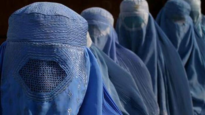 NextImg:New Taliban Vice Laws Forbid Women From Looking At Men, Singing In Public, Solo Travel